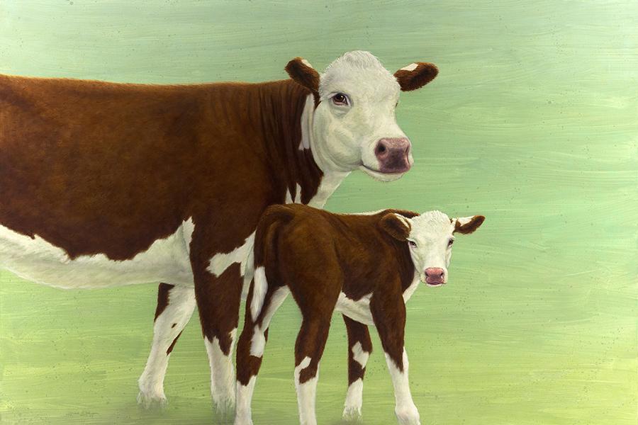 Mother and Child Cows